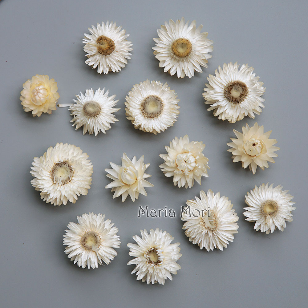 Natural Dried Colorful Chrysan - огляд і ціна Baby Products 2 Years